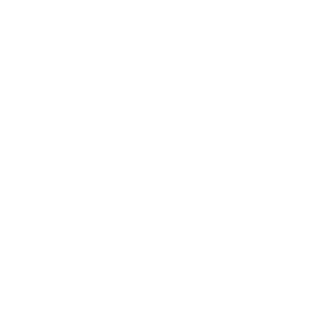 GitHub icon